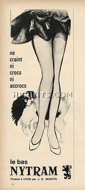 Nytram (Stockings) 1961 Pekingese Dog