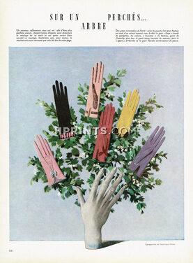 Hermès (Gloves) 1946 Dominique Fircsa