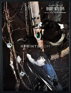 Harry Winston (High Jewelry) 1966 Earring, Rings, Birds