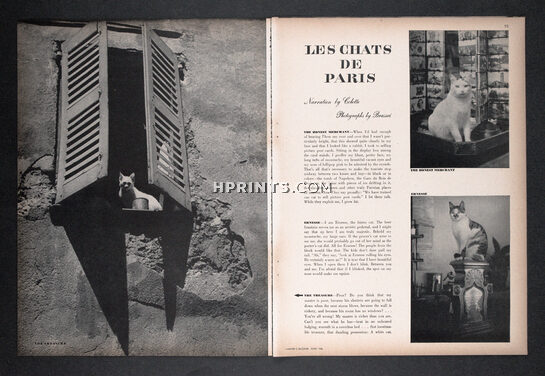 Les Chats de Paris, 1946 - Paris Cats, Colette, Photographs by Brassaï, Text by Colette, 4 pages