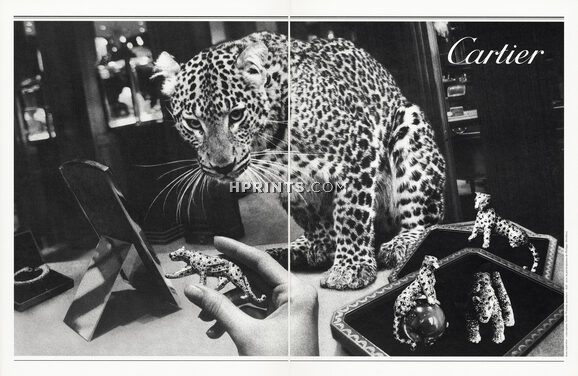 Cartier (High Jewelry) 2000 Panther, Brooches, Store, Photo Jean Larivière