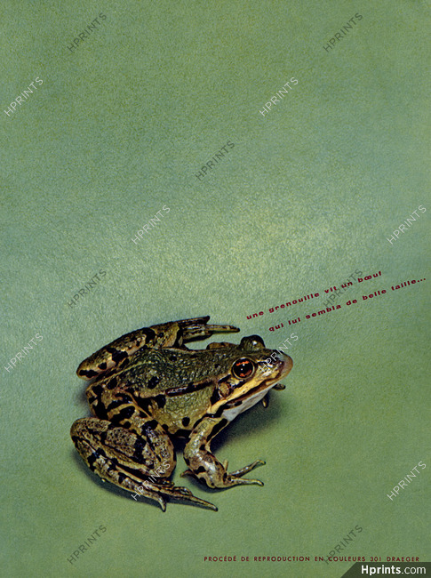 Draeger Frères (Edition) 1956 Grenouille, Frog