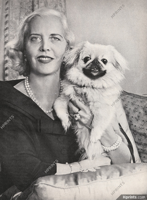 Miss Kay Halle 1956 Pekingese Dog, Photo Louise Dahl-Wolfe