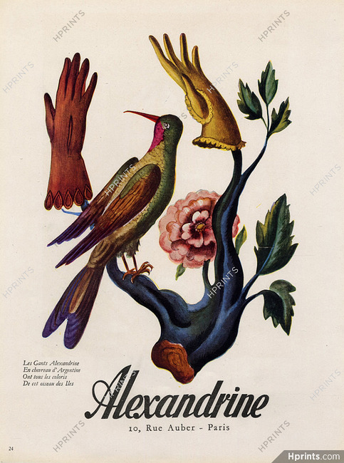 Alexandrine (Gloves) 1946 Bird