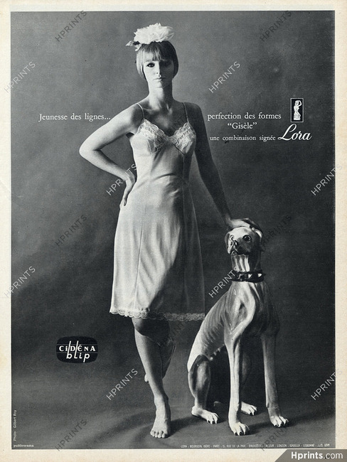 Lora 1964 Greyhound Dog Sighthound Lingerie