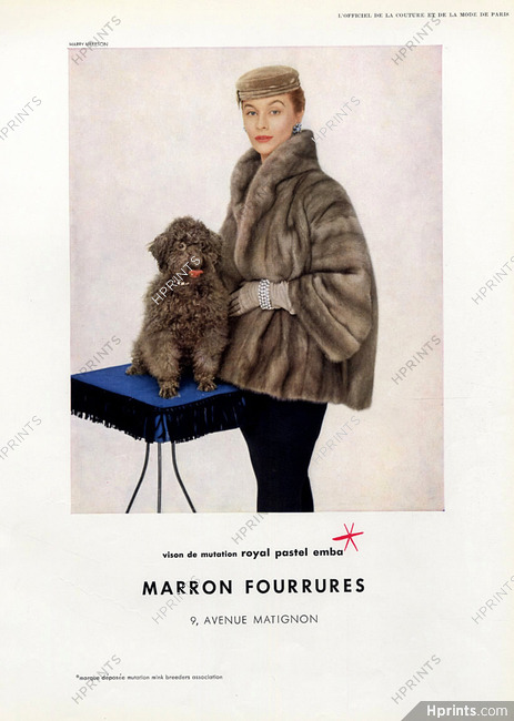 Marron Fourrures (Fur Coat) 1954 Photo Harry Meerson