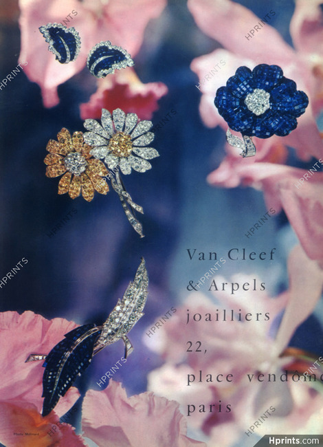 Van Cleef & Arpels 1958 Flowers Clips, Photo Molinard