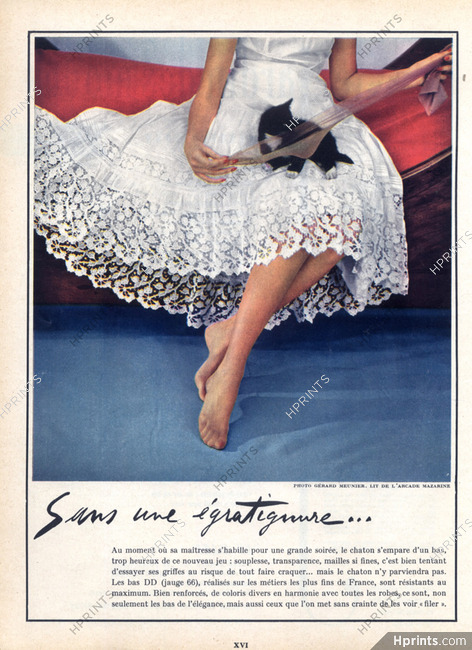 DD - Doré Doré (Stockings) 1954 Cat