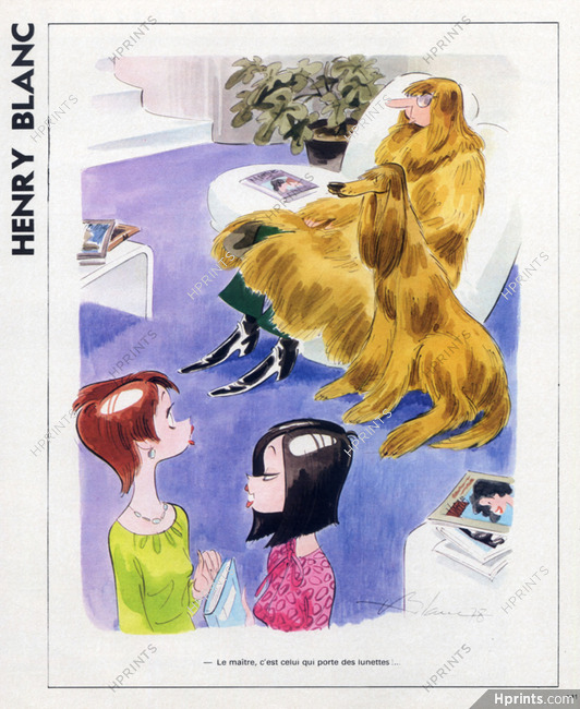 Henry Blanc 1978 Afghan Hound, Costume Disguise, Sighthound