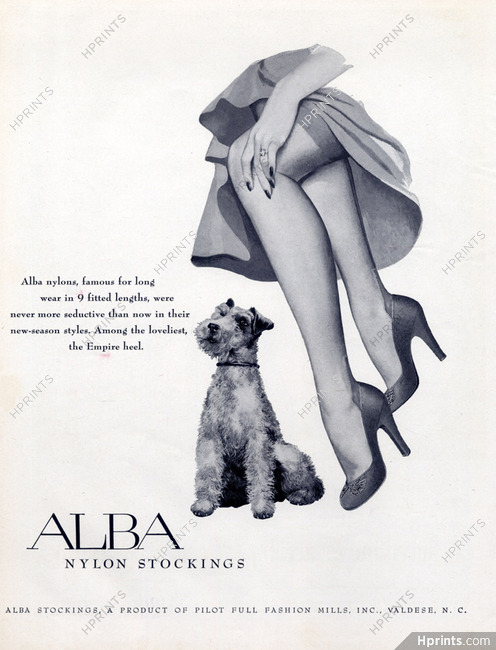 Alba Nylons (Stockings) 1951 Fox Terrier Dog