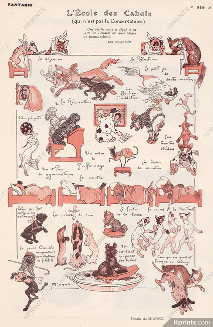 Miarko 1920 The School of Dogs, Comic Strip