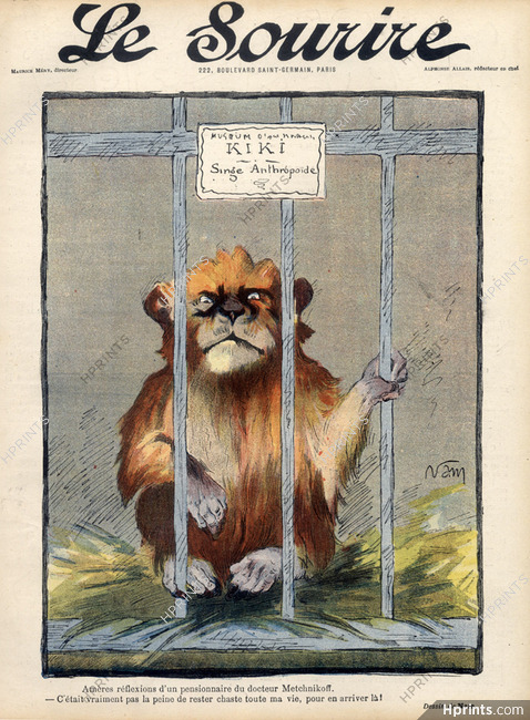 Jacques (Lehmann) Nam 1903 Kiki Anthropoïde Monkey, Boarder of Metchnikoff