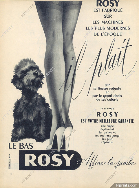 Rosy (Stockings) 1954 Poodle Dog