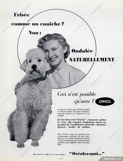 L'Oréal (Hair Care) 1950 Oréol, Poodle