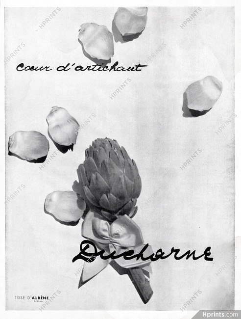 Ducharne 1928 Artichoke