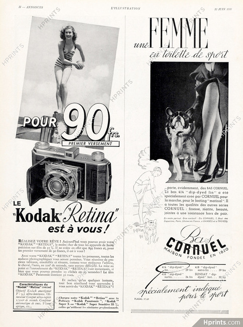 Cornuel Stockings Hosiery 1937 French Bulldog (L)
