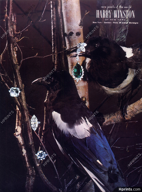 Harry Winston (High Jewelry) 1966 Earring, Rings, Birds