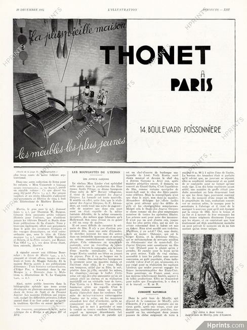 Thonet 1934 Chairs