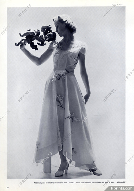 Schiaparelli 1937 Photo Norman Parkinson, Embroidery, Evening Dress