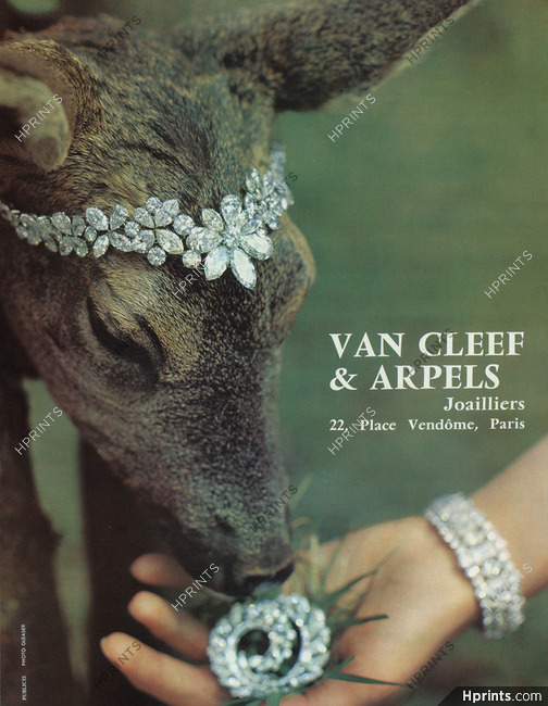 Van Cleef & Arpels (High Jewelry) 1960 Photo Gleaser