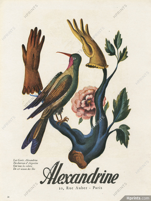 Alexandrine (Gloves) 1946 Bird