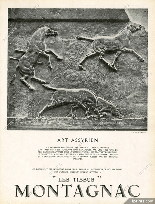 Montagnac 1938 "Art Assyrien" Photo Mansell, Horse