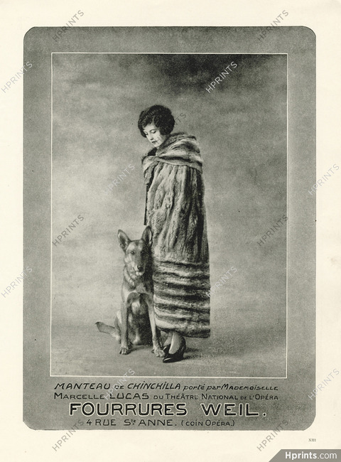 Weil 1922 Cape of Chinchilla, Mademoiselle Marcelle Lucas, Dog