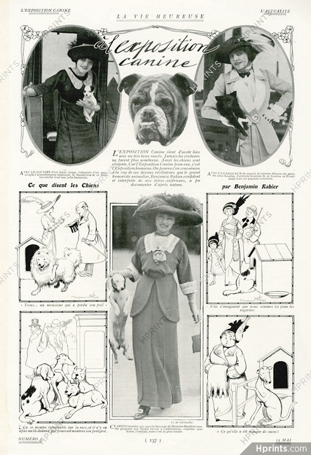 Benjamin Rabier 1912 "à l'exposition Canine" Teckel, Loulou de Poméranie, Fox terrier, English Bulldog