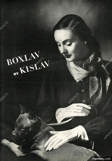 Kislav 1947 Boxer Dog