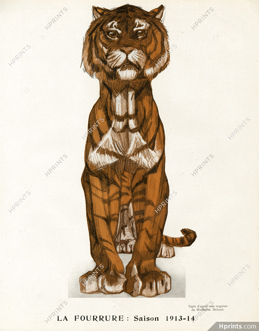 Mathurin Meheut 1913 "La Fourrure Saison 1913-1914", Tiger
