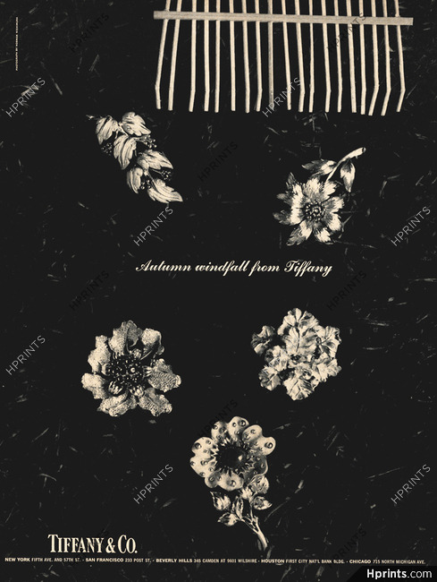 Tiffany & Co. 1967 Flowers Clips
