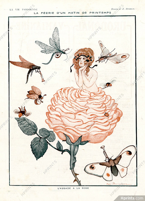 Zyg Brunner 1917 ''L'Aubade à la Rose'' flower
