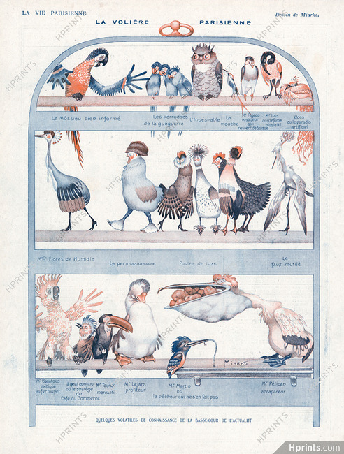Miarko 1918 La Volière Parisienne Owl Parrot Bird Comic Strip
