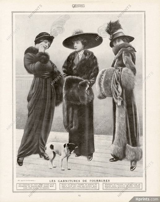 Garnitures de Fourrures 1913 Fur Coats, Dog