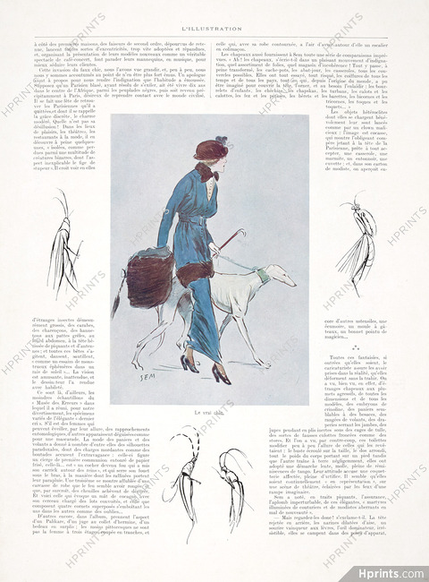 Sem 1914 Le Vrai Chic, Greyhound