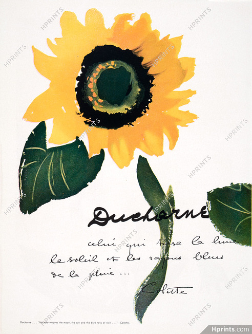 Ducharne 1948 Sunflower, Text by Colette (translated in English)