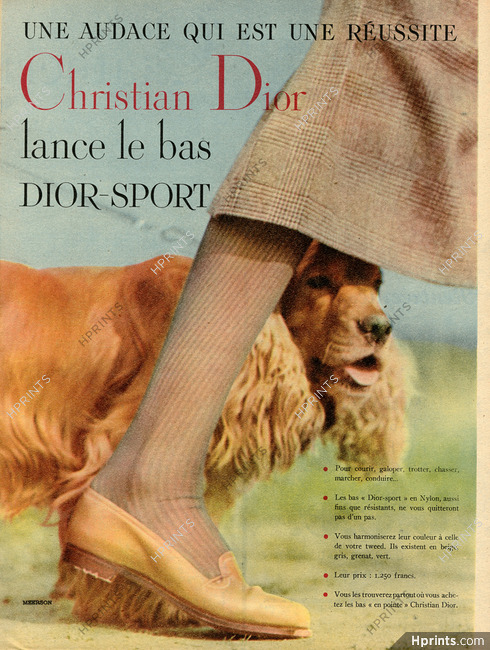 Christian Dior - Dior Sport (Hosiery) 1952 Photo Meerson, Cocker Spaniel Dog