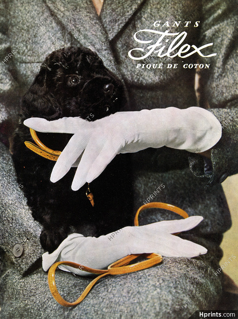 Filex (Gloves) 1956 Poodle, Photo Monteux
