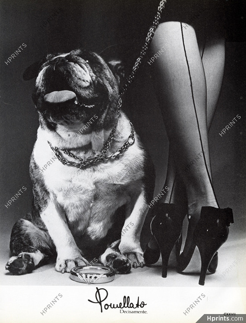 Pomellato (Jewels) 1980 English Bulldog, Stockings