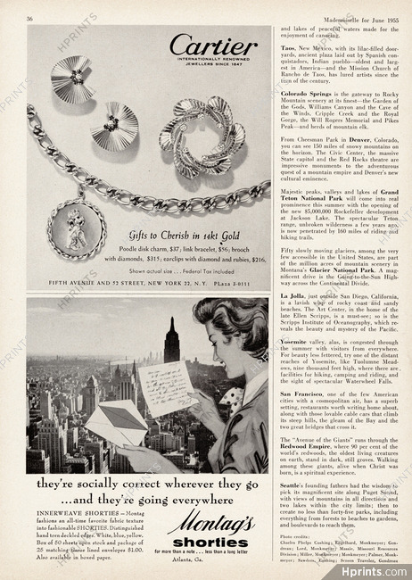 Cartier 1955 Charm, Brooch