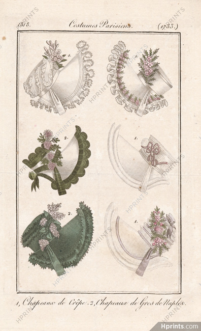 Le Journal des Dames et des Modes 1818 Costume Parisien N°1733