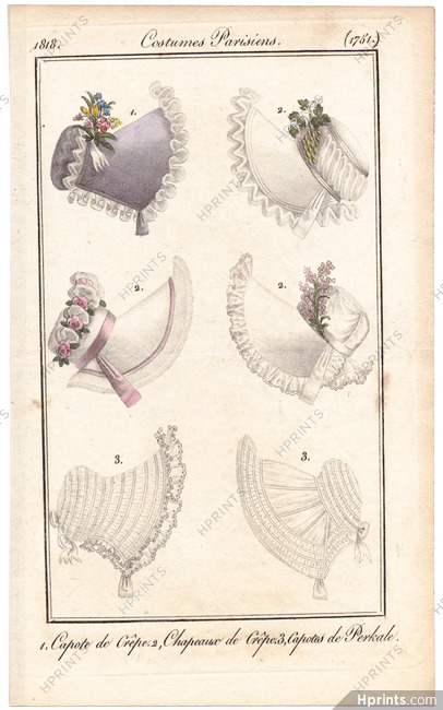 Le Journal des Dames et des Modes 1818 Costume Parisien N°1751