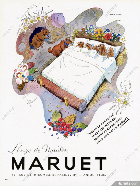 Maruet 1947 Draps, Kimi la Marmotte, Pellos