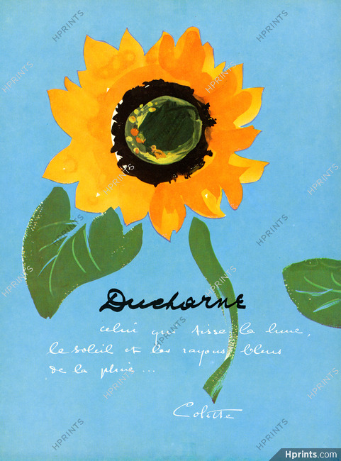 Ducharne 1956 Poem, Colette Autograph Sunflower