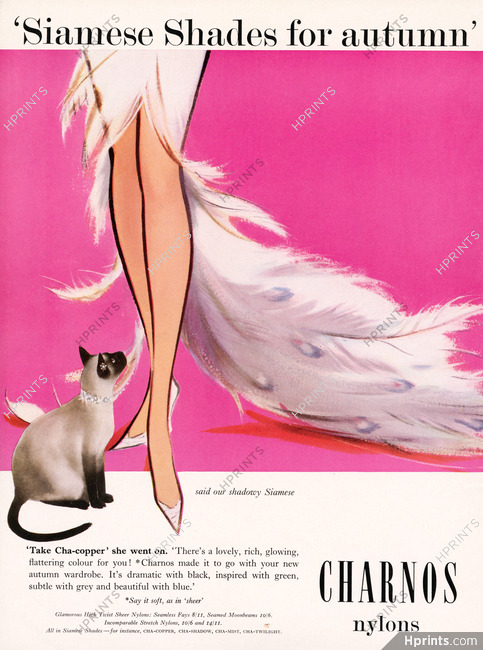 Charnos (Stockings) 1960 Siamese Cat