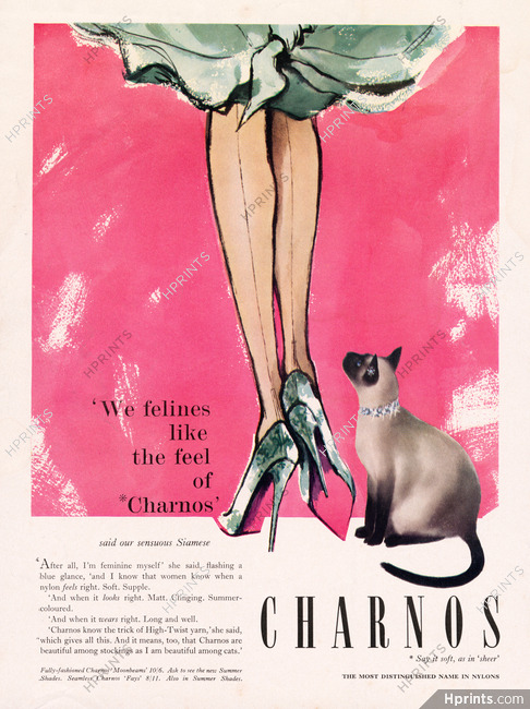 Charnos (Stockings) 1960 Sensuous Siamese Cat