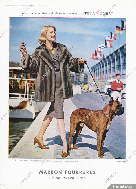 Marron Fourrures 1960 Mink Fur Coat, Boxer dog