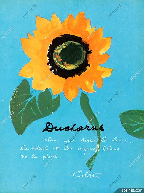 Ducharne 1956 Poem, Colette Autograph Sunflower