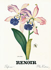 Renoir (Perfumes) 1943 Cattleya Elegans