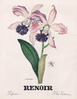 Renoir (Perfumes) 1943 Cattleya Elegans